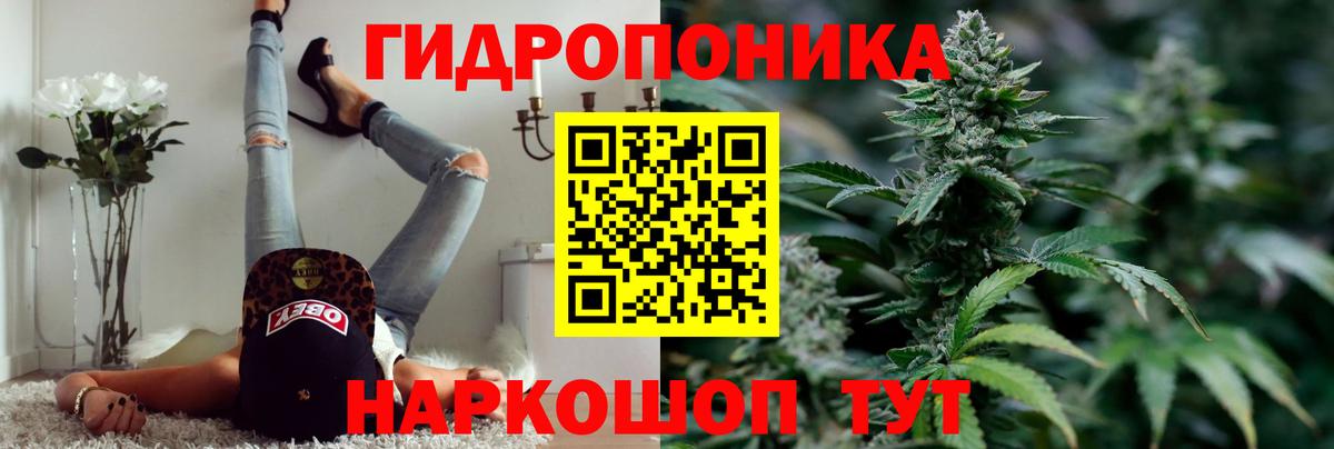 Каннабис SATIVA & INDICA Ржев